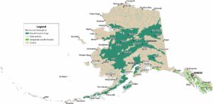 Alaska Biomes Map