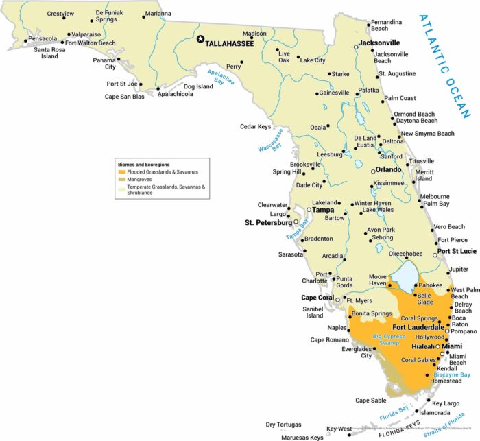 Florida Biomes Map