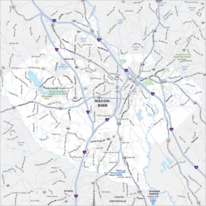 Macon-Bibb County Georgia