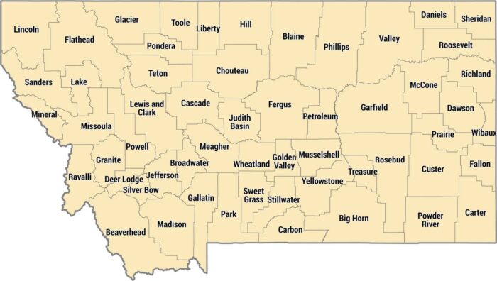 Montana County Map