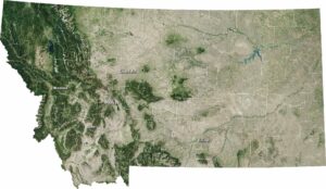 Montana Satellite Map