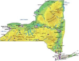 New York Physical Map