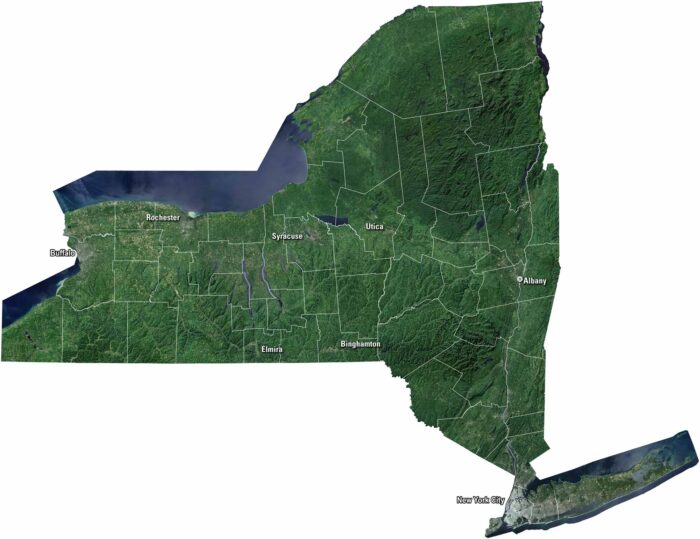 New York Satellite Map