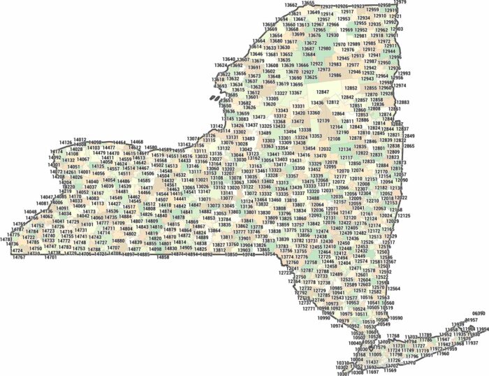 New York Zip Code Map