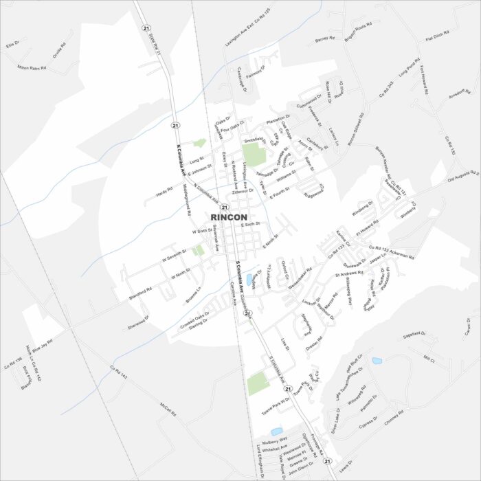 Rincon Map Georgia