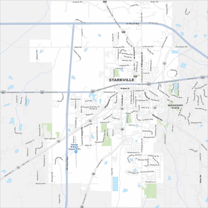 Starkville Map Mississippi