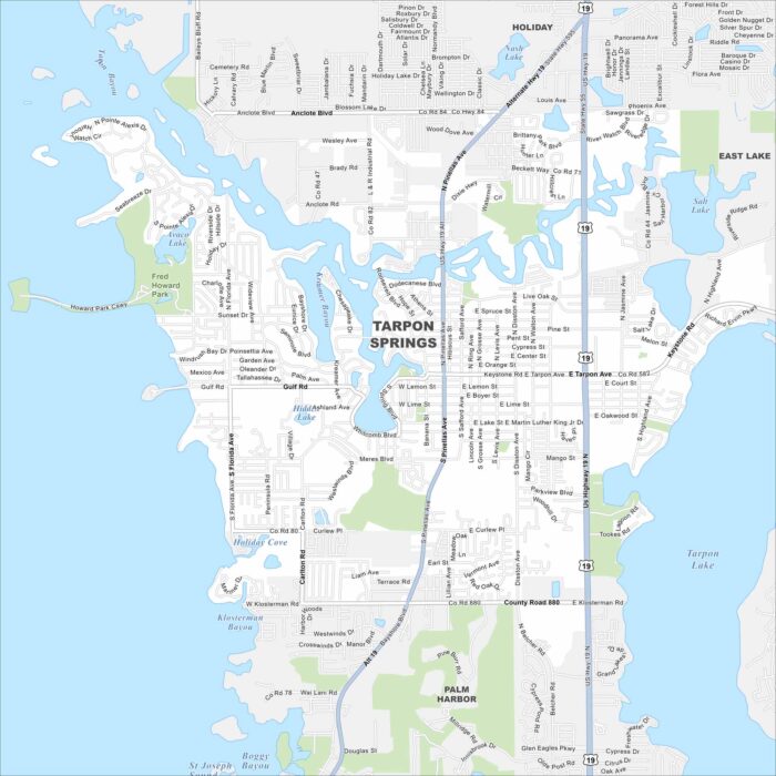 Tarpon Springs Map Florida