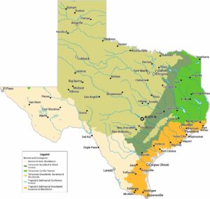 Texas Biomes Map