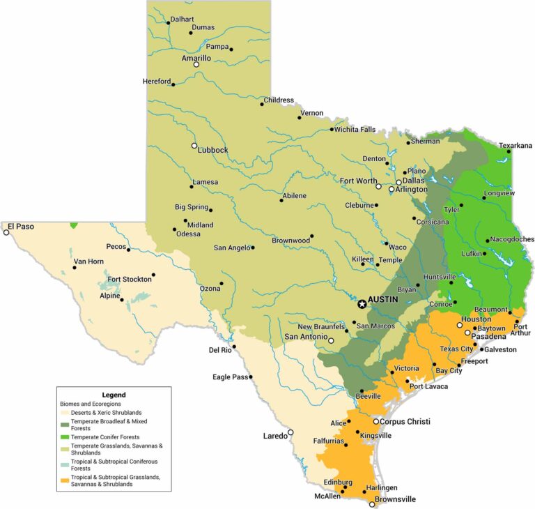 Texas Biomes Map