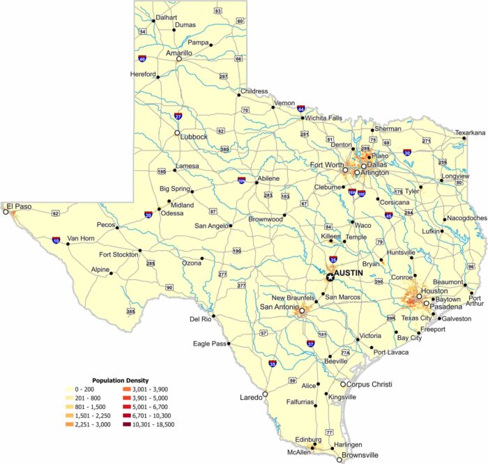 Texas Population Density Map